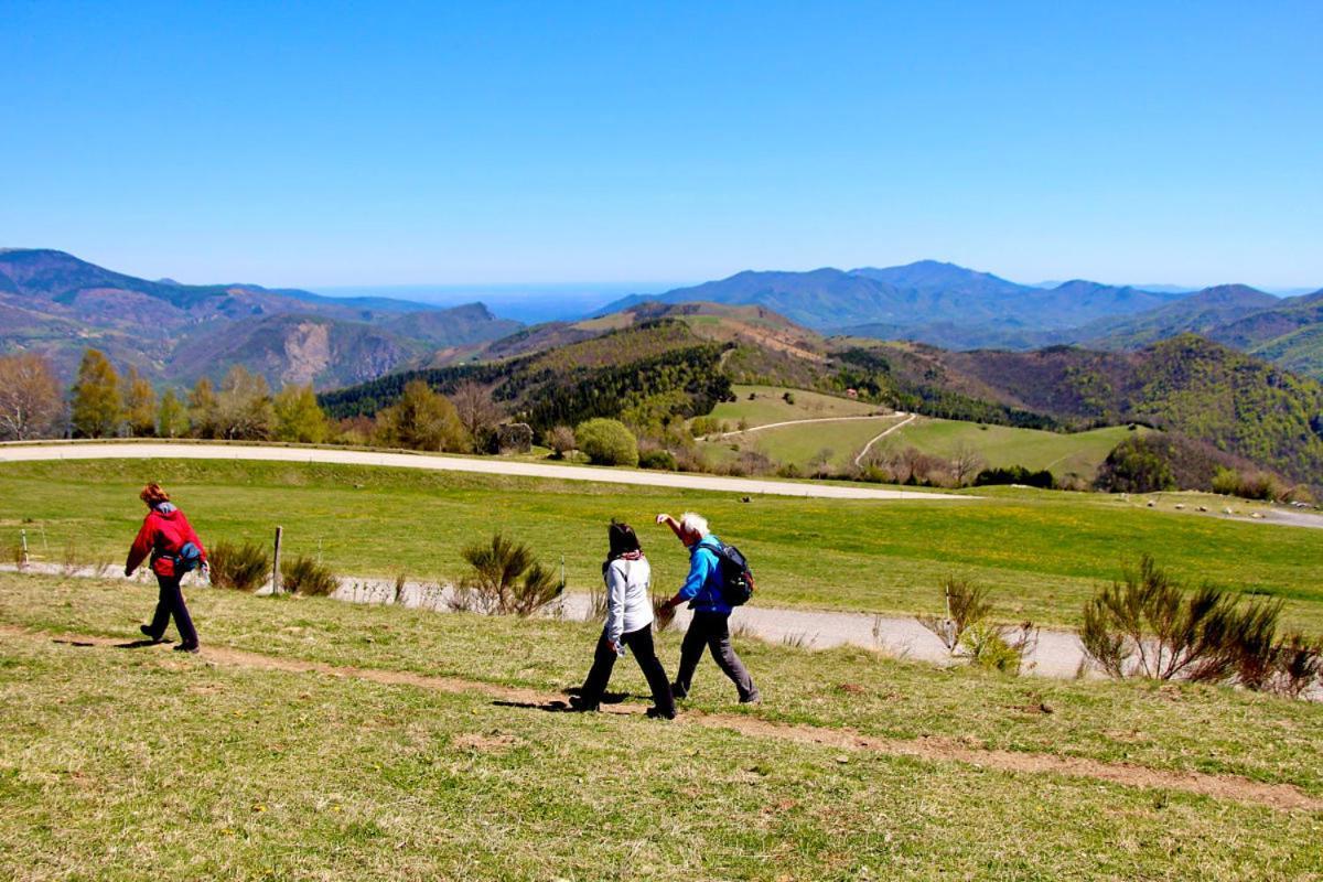 Naturaleza y aire puro en el Pirineo oriental en una bonita casa rural de piedra Prats-de-Mollo-la-Preste Exterior foto
